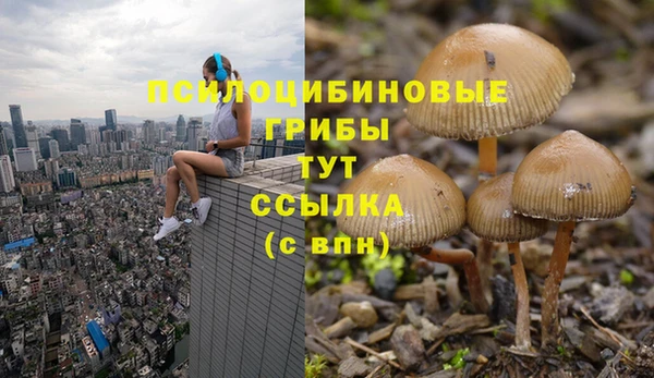 твердый Балабаново