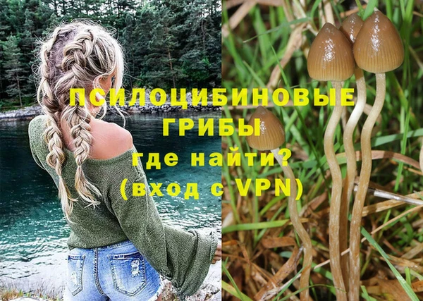 твердый Балабаново